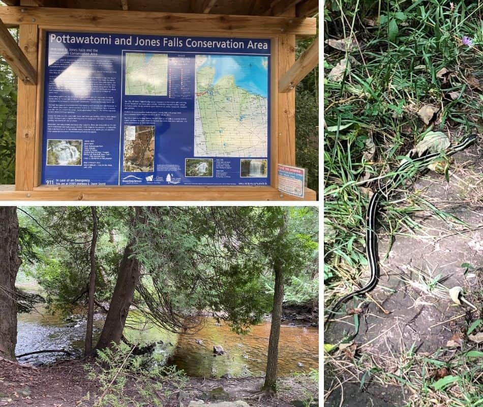 information plaque at jones falls, picture of the Pottawatomi river, picture of Garter Snake in conservation area