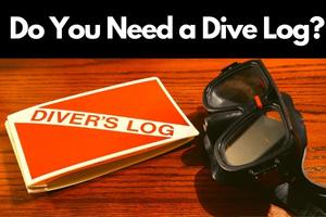 dive log blog banner