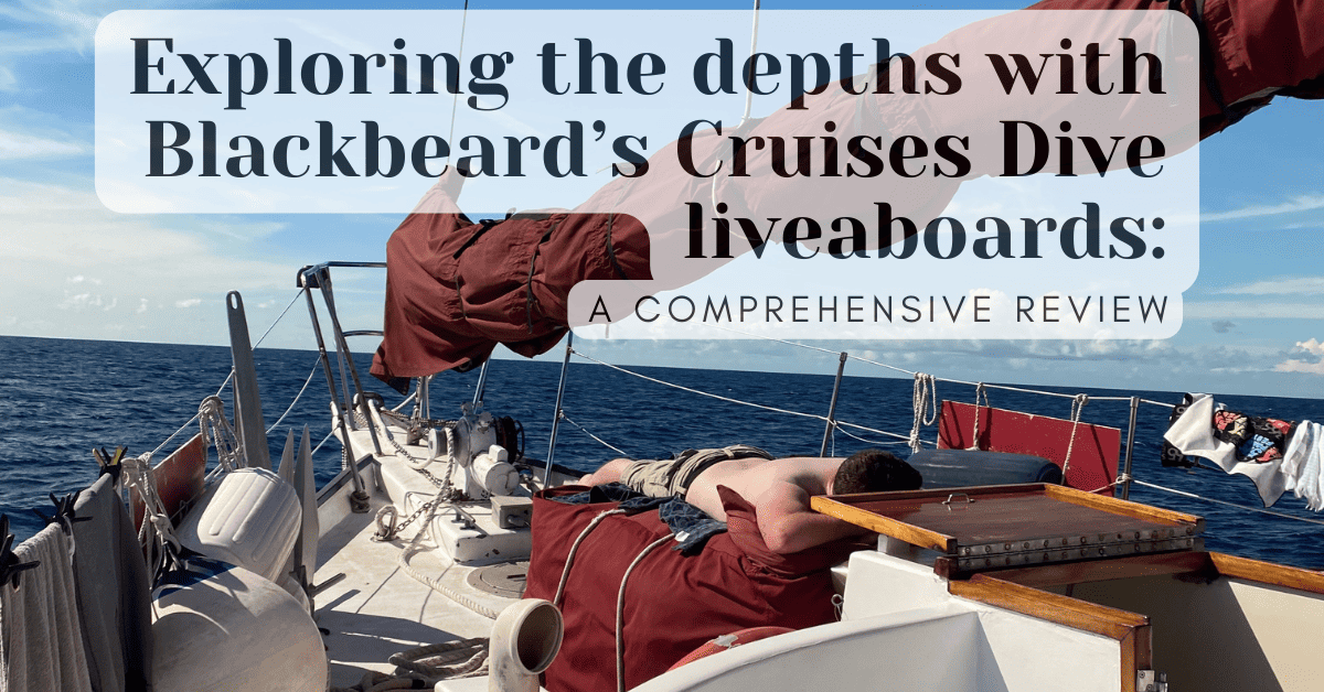 blackbeard cruise ship
